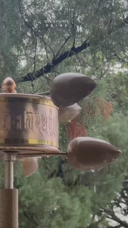 Sha Mirac Miracle Of Power Gen 6 (Malaysia)